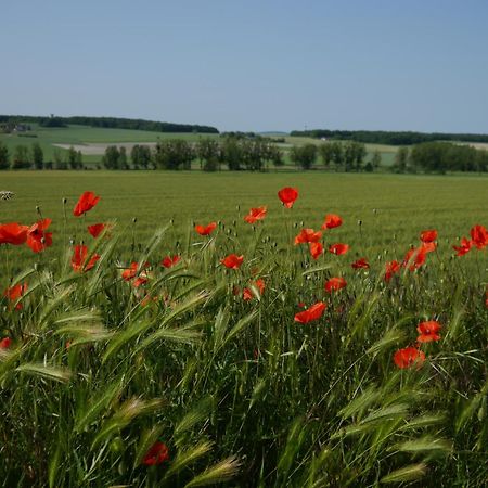 Logis Auberge De Crissay Kültér fotó
